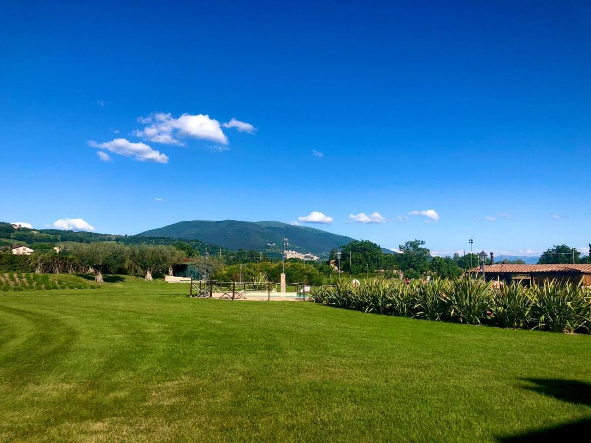 Farm stay Agriturismo Il Cantico Di San Francesco Palazzo (Umbria)