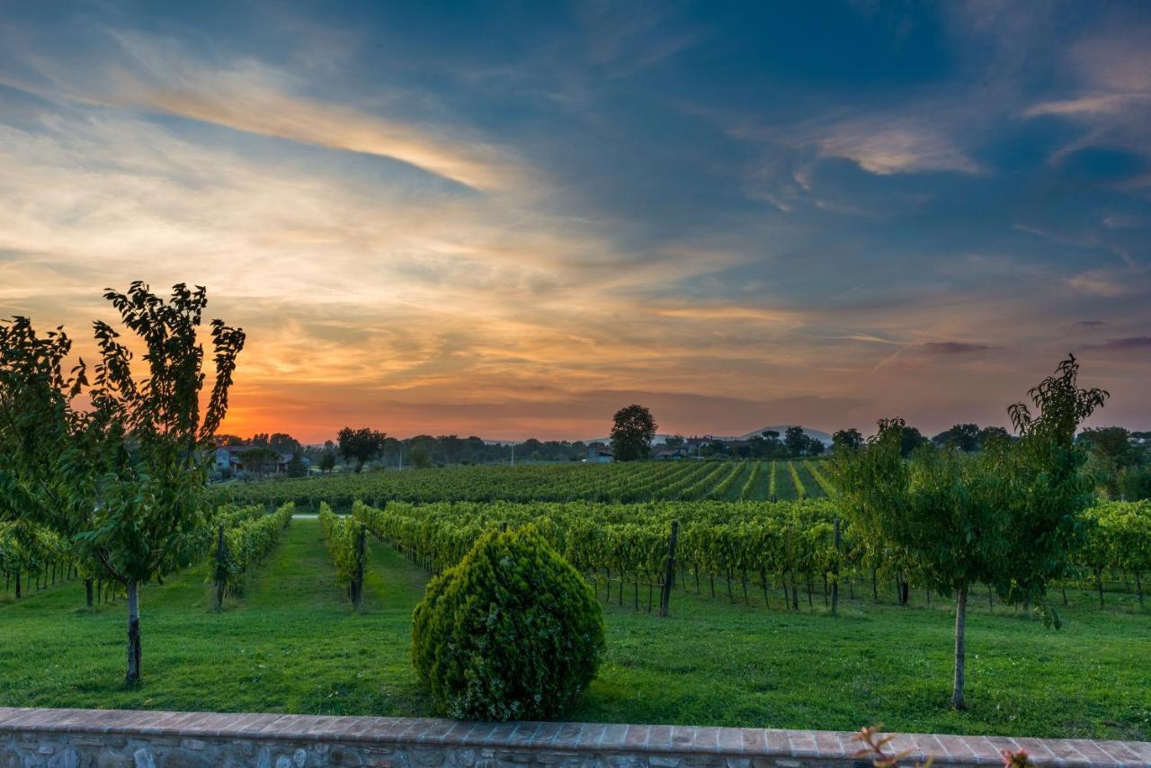 Agriturismo Il Cantico Di San Francesco Farm stay Palazzo (Umbria)